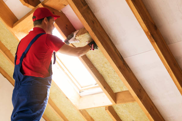 Best Garage Insulation  in Schertz, TX